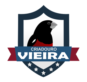 Contato | Criadouro Vieira - Curió Praia Clássico Rio de Janeiro